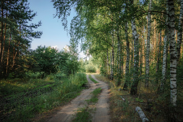 Obraz premium Лето