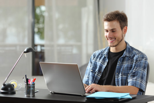 Happy self employed working on line at home