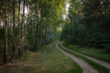 Fototapeta premium Лето