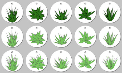Round sticker template with aloe vera plants. Vector illustration with green stains on white background