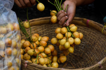 Top view of a woman selling Burmese grape or Baccaurea ramiflora at the famous exotic morning market in Luang Prabang, Laos