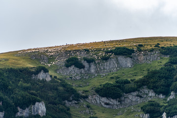Fototapeta premium View from Bucegi mountains, Romania, Bucegi National Park