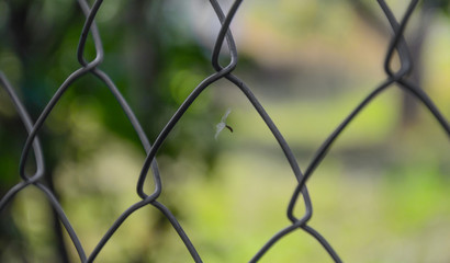 fence with barbed wire