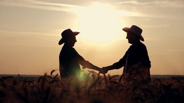 eam work. Two farmers stand at sunset in a wheat field, and discuss the new crop.. Farmers use new technologies in agriculture. Growing organic products.