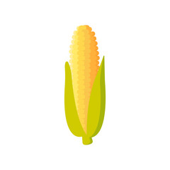 Corn icon. maize isolated on white background. Vector illustration.