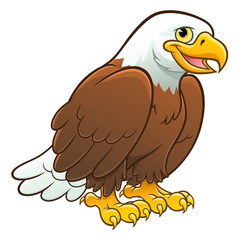 Cute bald eagle