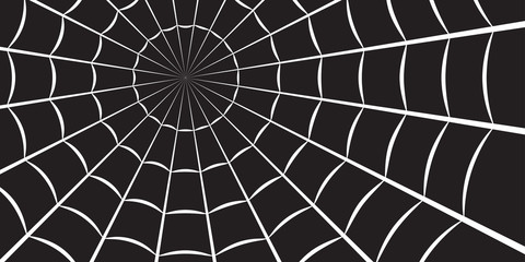 Spider web or cobweb. Halloween net background. Vector illustration.