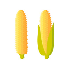 Corn icon. maize isolated on white background. Vector illustration.