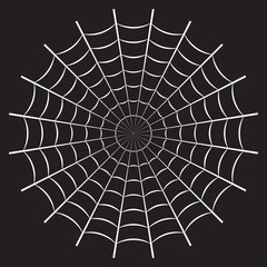 Spider web or cobweb. Halloween net background. Vector illustration. © metelsky25