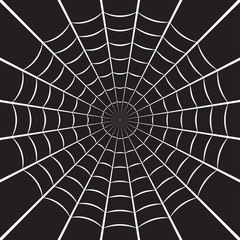 Spider web or cobweb. Halloween net background. Vector illustration.