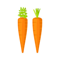 Carrot isolated on white background. Vector illustration.