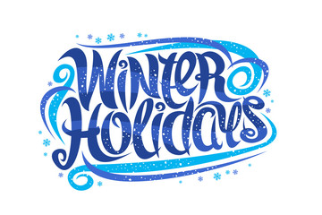 Vector greeting card for Winter Holidays, curly calligraphic typeface with blue snowflakes and decorative elements, banner with swirly trendy lettering for words winter holidays on white background.