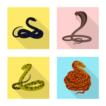 Vector illustration of skin and reptile sign. Set of skin and danger stock symbol for web.
