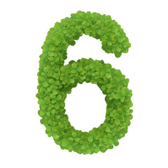 Number 6, alphabet of green leaves