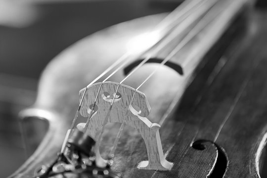Fragment of a violin close-up in black and white