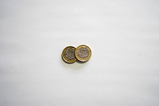 Group on UK one poind coins