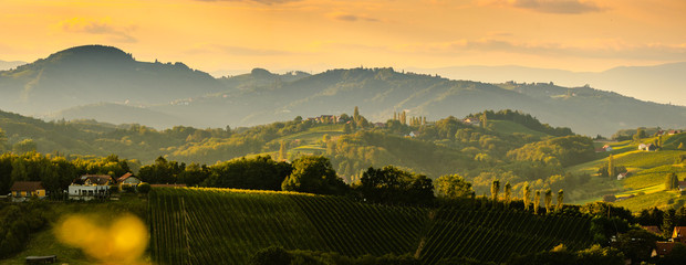 South styria vineyards landscape, near Gamlitz, Austria, Eckberg, Europe. Grape hills view from wine road in spring. Tourist destination, panorama - obrazy, fototapety, plakaty