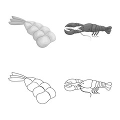 Vector design of appetizer and ocean symbol. Set of appetizer and delicacy stock vector illustration.