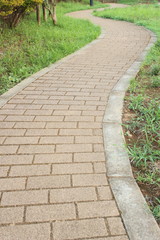 path in park