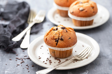muffins with chocolate on white dish on ceramic background