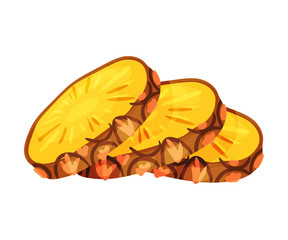 Pineapple circles. Vector illustration on a white background.