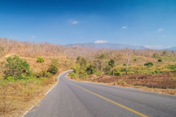 view of long road around with dry trees on side way with blue sky background, forest changing color in Amphur Kalayaniwattana, Chiang Mai, Thailand.
