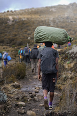 Fototapeta na wymiar Porter Carrying Heavy Stuff On His Head, Climbing Mount Kilimanjaro, Mount Kilimanjaro National Park, Tanzania