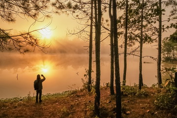 view morning of a man standing under pine trees with misty lake and yellow sun light background, sunrise at Wat Chan Royal Project Reservoir, Kalayaniwattana, Chiang Mai, Thailand.