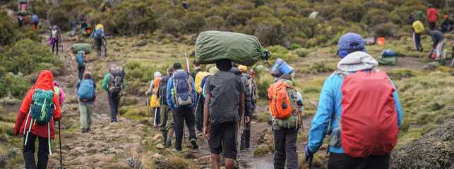 Wanderer besteigen den Kilimanjaro, Kilimanjaro Nationalpark, Tansania