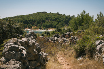 Few days of rest in Zecevo on a roadtrip to Croatia, pine trees, olive orchards and summer heat