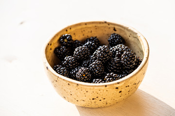 Pot de mûres fraichement cueillies au jardin