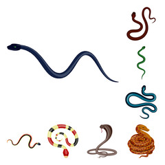 Vector design of poison and evil symbol. Collection of poison and bite stock symbol for web.