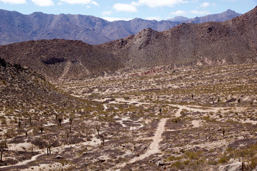Landscape along the road to Angastaco, Argentina