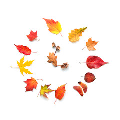 Autumn Time - clock of bright autumn leafs. Autumn leaves, nuts and acorns in shape of clock on white background, flat lay, top view. Fall season concept. Autumn frame. Copy space