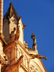 Fototapeta na wymiar Gargouilles de la cathedrale romaine Saint Pierre de Poitiers. Vienne