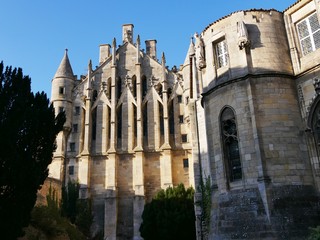 Fototapeta na wymiar Palais gothique de comtes d'Aquitaine à Poitiers dans la Vienne