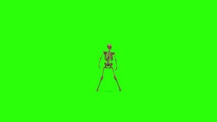 Dancing skeletons on a green screen background. Halloween concept.