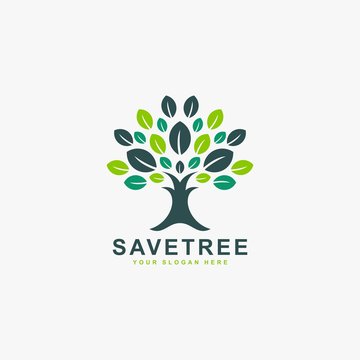 Tree logo design vector. Plant care illustration sign. Green leaf vector icon.