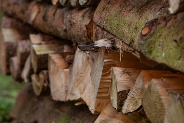 Brennholz
