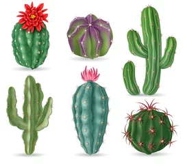 Deurstickers Cactus Realistische cactus. Decoratieve woestijncactussenplanten voor Mexicaans landschap en huisinterieur. 3D-sappige cactussen geïsoleerde vector set. Illustratie cactus Mexicaanse, sappige cactussen met bloem