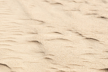 nature backround of smooth sand wave texture