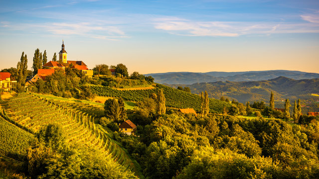 Autumn Landscape panorama of vineyard on an Austrian countryside during sunset in Kitzeck im Sausal