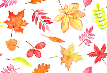 Fototapeta na wymiar Seamless pattern of autumn leaves watercolor, red, orange and yellow leaves on white background for autumn fall and Thanksgiving banners