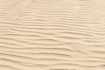 nature background of smooth sand wave texture