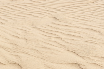 nature backround of smooth sand wave texture
