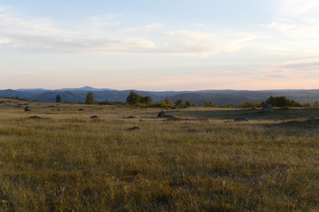 Obraz premium An evening in the Altai mountains near the Charysh River. Western Siberia
