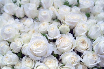 Beautiful white roses background. Floral abstract background for wedding and engagement.