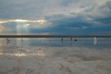 Landscape of salty estuary with abstract sculptures.