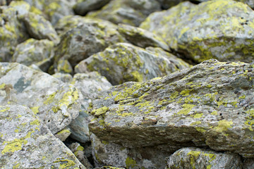 Huge rocks on a hiking trail