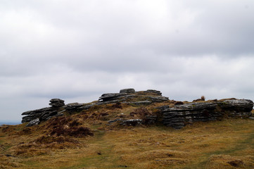 Rocky tor with Dartmoor landscape © Robert